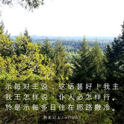 Picture 03 - 列 王 记 上 2:38 CUVS - 示 每 对 王 说 ： 这 话 甚 好 ！ 我 - Bible Verse Picture