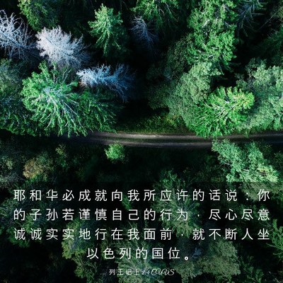 Picture 03 - 列 王 记 上 2:4 CUVS - 耶 和 华 必 成 就 向 我 所 应 许 的 - Bible Verse Picture