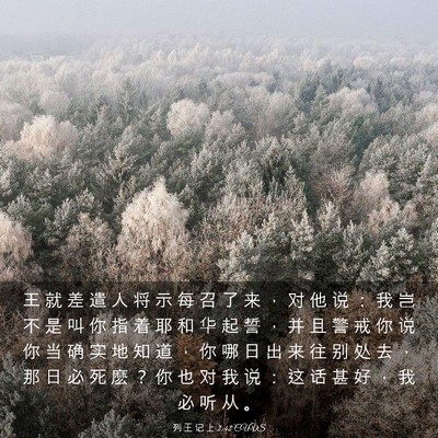 Picture 03 - 列 王 记 上 2:42 CUVS - 王 就 差 遣 人 将 示 每 召 了 来 ， - Bible Verse Picture
