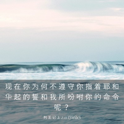 Picture 03 - 列 王 记 上 2:43 CUVS - 现 在 你 为 何 不 遵 守 你 指 着 耶 - Bible Verse Picture