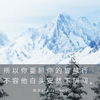 Picture 03 - 列 王 记 上 2:6 CUVS - 所 以 你 要 照 你 的 智 慧 行 ， 不 - Bible Verse Picture