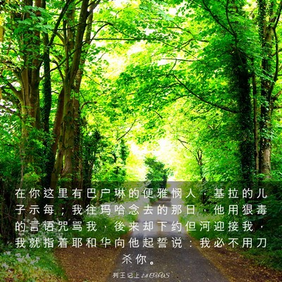 Picture 03 - 列 王 记 上 2:8 CUVS - 在 你 这 里 有 巴 户 琳 的 便 雅 悯 - Bible Verse Picture