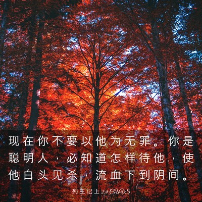 Picture 03 - 列 王 记 上 2:9 CUVS - 现 在 你 不 要 以 他 为 无 罪 。 你 - Bible Verse Picture