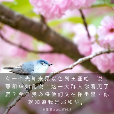 Picture 03 - 列 王 记 上 20:13 CUVS - 有 一 个 先 知 来 见 以 色 列 王 亚 - Bible Verse Picture