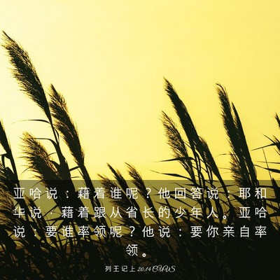 Picture 03 - 列 王 记 上 20:14 CUVS - 亚 哈 说 ： 藉 着 谁 呢 ？ 他 回 答 - Bible Verse Picture