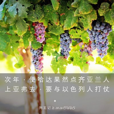 Picture 03 - 列 王 记 上 20:26 CUVS - 次 年 ， 便 哈 达 果 然 点 齐 亚 兰 - Bible Verse Picture