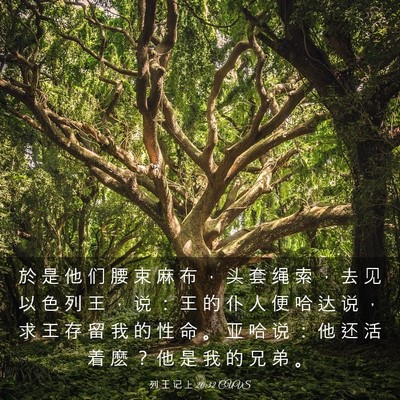 Picture 03 - 列 王 记 上 20:32 CUVS - 於 是 他 们 腰 束 麻 布 ， 头 套 绳 - Bible Verse Picture