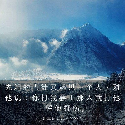 Picture 03 - 列 王 记 上 20:37 CUVS - 先 知 的 门 徒 又 遇 见 一 个 人 ， - Bible Verse Picture