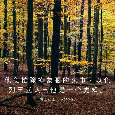 Picture 03 - 列 王 记 上 20:41 CUVS - 他 急 忙 除 掉 蒙 眼 的 头 巾 ， 以 - Bible Verse Picture