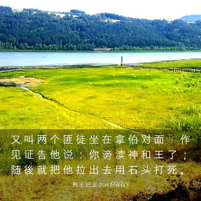 Picture 03 - 列 王 记 上 21:10 CUVS - 又 叫 两 个 匪 徒 坐 在 拿 伯 对 面 - Bible Verse Picture