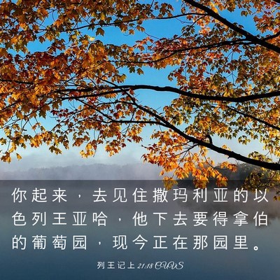 Picture 03 - 列 王 记 上 21:18 CUVS - 你 起 来 ， 去 见 住 撒 玛 利 亚 的 - Bible Verse Picture