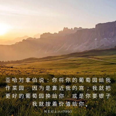 Picture 03 - 列 王 记 上 21:2 CUVS - 亚 哈 对 拿 伯 说 ： 你 将 你 的 葡 - Bible Verse Picture
