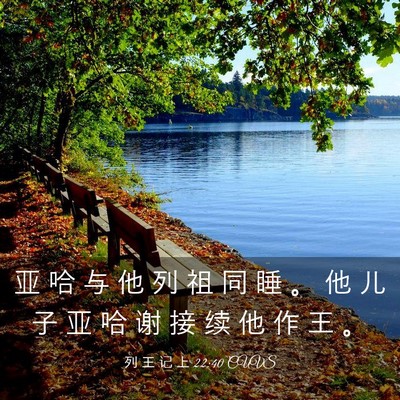 Picture 03 - 列 王 记 上 22:40 CUVS - 亚 哈 与 他 列 祖 同 睡 。 他 儿 子 - Bible Verse Picture