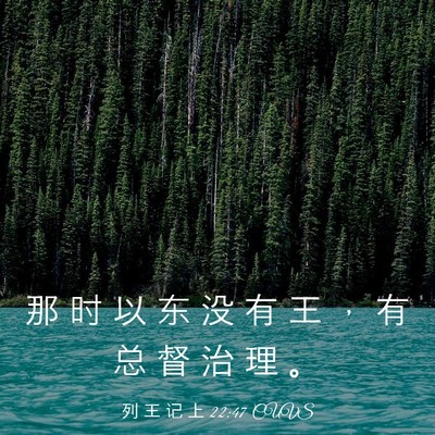 Picture 03 - 列 王 记 上 22:47 CUVS - 那 时 以 东 没 有 王 ， 有 总 督 治 - Bible Verse Picture