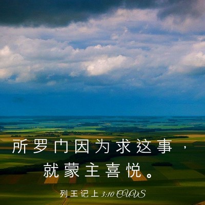 Picture 03 - 列 王 记 上 3:10 CUVS - 所 罗 门 因 为 求 这 事 ， 就 蒙 主 - Bible Verse Picture