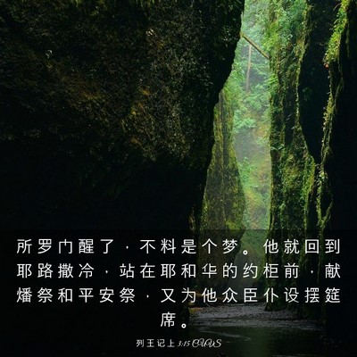 Picture 03 - 列 王 记 上 3:15 CUVS - 所 罗 门 醒 了 ， 不 料 是 个 梦 。 - Bible Verse Picture