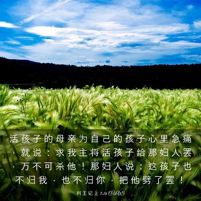 Picture 03 - 列 王 记 上 3:26 CUVS - 活 孩 子 的 母 亲 为 自 己 的 孩 子 - Bible Verse Picture