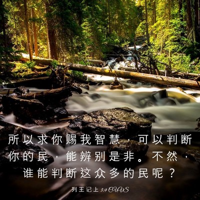 Picture 03 - 列 王 记 上 3:9 CUVS - 所 以 求 你 赐 我 智 慧 ， 可 以 判 - Bible Verse Picture