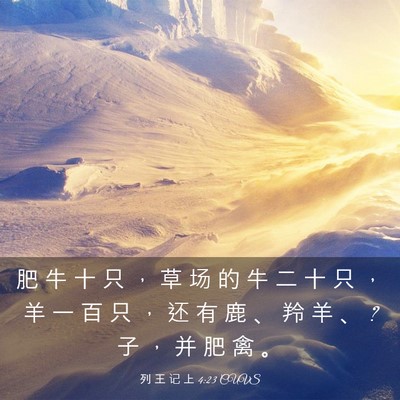 Picture 03 - 列 王 记 上 4:23 CUVS - 肥 牛 十 只 ， 草 场 的 牛 二 十 只 - Bible Verse Picture