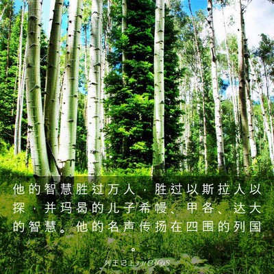 Picture 03 - 列 王 记 上 4:31 CUVS - 他 的 智 慧 胜 过 万 人 ， 胜 过 以 - Bible Verse Picture