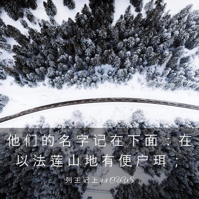 Picture 03 - 列 王 记 上 4:8 CUVS - 他 们 的 名 字 记 在 下 面 ： 在 以 - Bible Verse Picture