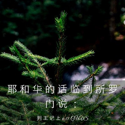 Picture 03 - 列 王 记 上 6:11 CUVS - 耶 和 华 的 话 临 到 所 罗 门 说 - Bible Verse Picture