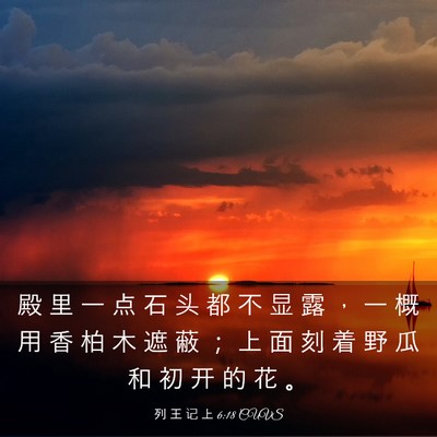Picture 03 - 列 王 记 上 6:18 CUVS - 殿 里 一 点 石 头 都 不 显 露 ， 一 - Bible Verse Picture