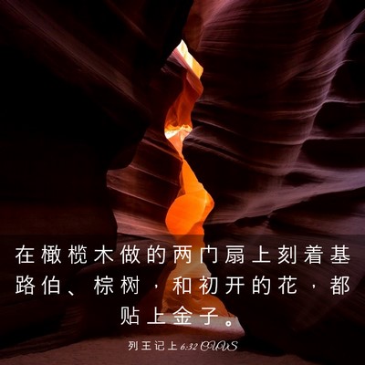 Picture 03 - 列 王 记 上 6:32 CUVS - 在 橄 榄 木 做 的 两 门 扇 上 刻 着 - Bible Verse Picture