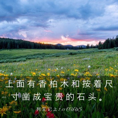 Picture 03 - 列 王 记 上 7:11 CUVS - 上 面 有 香 柏 木 和 按 着 尺 寸 凿 - Bible Verse Picture