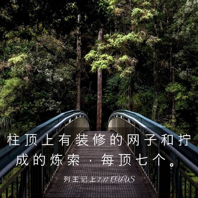 Picture 03 - 列 王 记 上 7:17 CUVS - 柱 顶 上 有 装 修 的 网 子 和 拧 成 - Bible Verse Picture