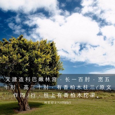 Picture 03 - 列 王 记 上 7:2 CUVS - 又 建 造 利 巴 嫩 林 宫 ， 长 一 百 - Bible Verse Picture