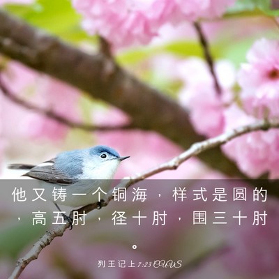 Picture 03 - 列 王 记 上 7:23 CUVS - 他 又 铸 一 个 铜 海 ， 样 式 是 圆 - Bible Verse Picture