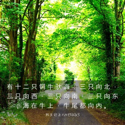 Picture 03 - 列 王 记 上 7:25 CUVS - 有 十 二 只 铜 牛 驮 海 ： 三 只 向 - Bible Verse Picture