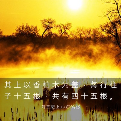 Picture 03 - 列 王 记 上 7:3 CUVS - 其 上 以 香 柏 木 为 盖 ， 每 行 柱 - Bible Verse Picture