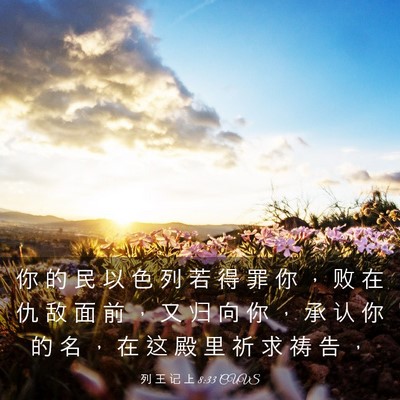 Picture 03 - 列 王 记 上 8:33 CUVS - 你 的 民 以 色 列 若 得 罪 你 ， 败 - Bible Verse Picture