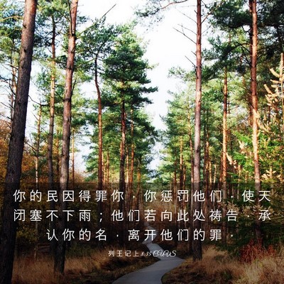 Picture 03 - 列 王 记 上 8:35 CUVS - 你 的 民 因 得 罪 你 ， 你 惩 罚 他 - Bible Verse Picture