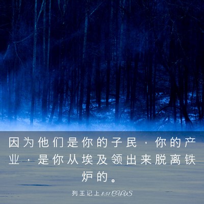 Picture 03 - 列 王 记 上 8:51 CUVS - 因 为 他 们 是 你 的 子 民 ， 你 的 - Bible Verse Picture