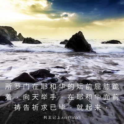 Picture 03 - 列 王 记 上 8:54 CUVS - 所 罗 门 在 耶 和 华 的 坛 前 屈 膝 - Bible Verse Picture