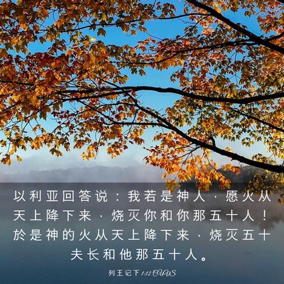 Picture 03 - 列 王 记 下 1:12 CUVS - 以 利 亚 回 答 说 ： 我 若 是 神 人 - Bible Verse Picture