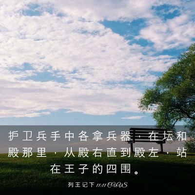 Picture 03 - 列 王 记 下 11:11 CUVS - 护 卫 兵 手 中 各 拿 兵 器 ， 在 坛 - Bible Verse Picture