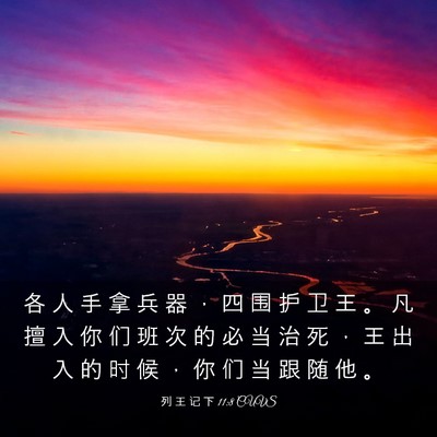 Picture 03 - 列 王 记 下 11:8 CUVS - 各 人 手 拿 兵 器 ， 四 围 护 卫 王 - Bible Verse Picture