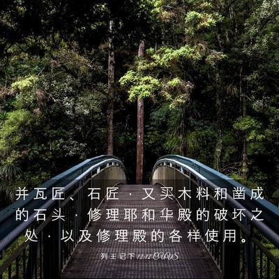 Picture 03 - 列 王 记 下 12:12 CUVS - 并 瓦 匠 、 石 匠 ， 又 买 木 料 和 - Bible Verse Picture