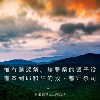 Picture 03 - 列 王 记 下 12:16 CUVS - 惟 有 赎 愆 祭 、 赎 罪 祭 的 银 子 - Bible Verse Picture