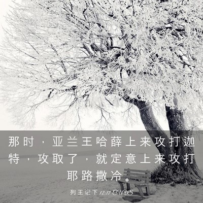 Picture 03 - 列 王 记 下 12:17 CUVS - 那 时 ， 亚 兰 王 哈 薛 上 来 攻 打 - Bible Verse Picture