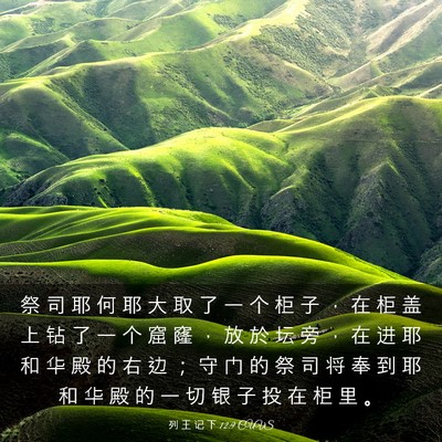 Picture 03 - 列 王 记 下 12:9 CUVS - 祭 司 耶 何 耶 大 取 了 一 个 柜 子 - Bible Verse Picture