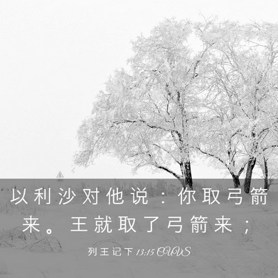 Picture 03 - 列 王 记 下 13:15 CUVS - 以 利 沙 对 他 说 ： 你 取 弓 箭 来 - Bible Verse Picture