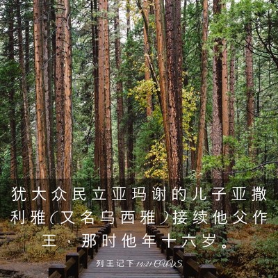 Picture 03 - 列 王 记 下 14:21 CUVS - 犹 大 众 民 立 亚 玛 谢 的 儿 子 亚 - Bible Verse Picture