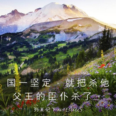 Picture 03 - 列 王 记 下 14:5 CUVS - 国 一 坚 定 ， 就 把 杀 他 父 王 的 - Bible Verse Picture