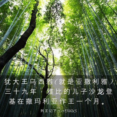Picture 03 - 列 王 记 下 15:13 CUVS - 犹 大 王 乌 西 雅 ( 就 是 亚 撒 利 雅 - Bible Verse Picture