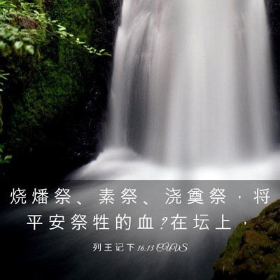 Picture 03 - 列 王 记 下 16:13 CUVS - 烧 燔 祭 、 素 祭 、 浇 奠 祭 ， 将 - Bible Verse Picture